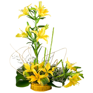 Extravagant Cluster of 6 Stemmed Yellow Lilies