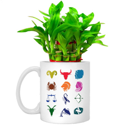 Gorgeous Gift of Sunsign Mug with Lucky Bamboo Tree