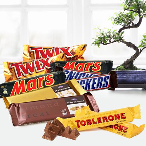 Delecious Selection of Mixed Chocolates