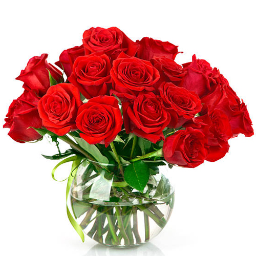 Exquisite Selection of Red Roses in a Vase