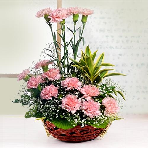 Glamorous Love Basket of 12 Carnations in Pink Color