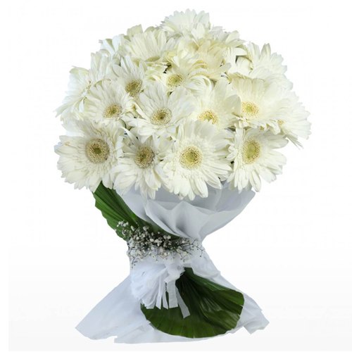 Lovely White Gerberas Bunch with Fillers