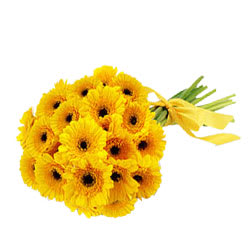 Bright Yellow Gerberas Bouquet