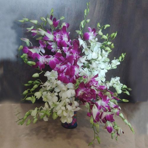 Remarkable 20 Orchids in Glass Vase