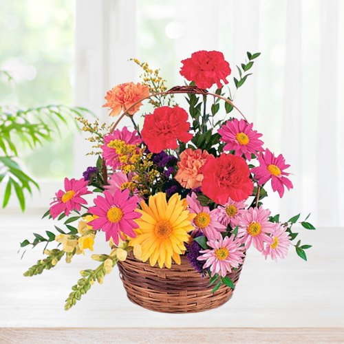 Multicolored Carnations N Gerberas Basket Arrangement