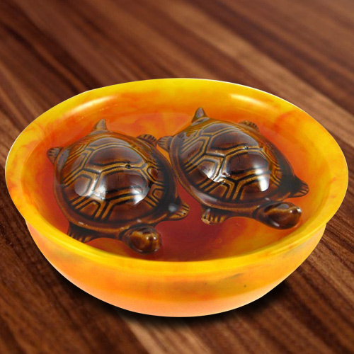 Marvelous Fengshui Bowl with Tortoise