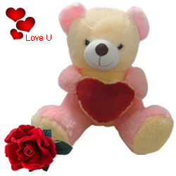 Love Teddy With Heart with a Velvet Red Rose