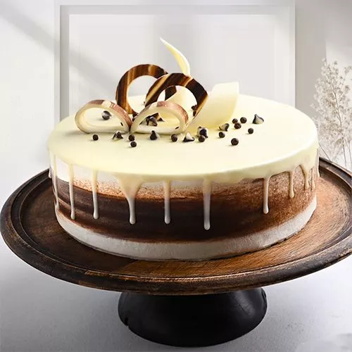 Whimsical Chocolate Dream