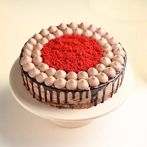 Luscious Chocolate Round Cake