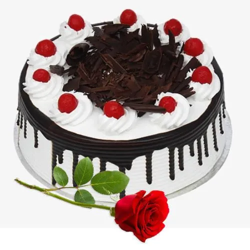 Tasty Eggless Black Forest Cake with Single Rose