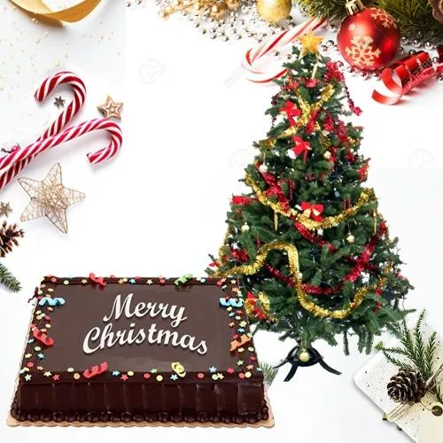 Special Gift of Silky Chocolate Cake with Xmas Tree