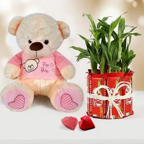 Exquisite Propose Day Combo of Teddy with Chocolate n Lucky Bamboo