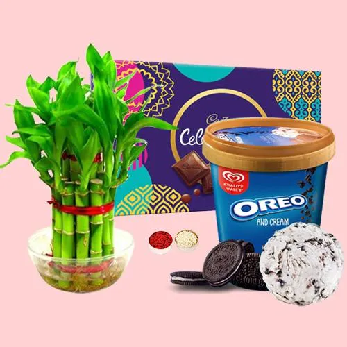 Classy Kwality Walls Oreo Ice Cream n Lucky Bamboo Plant with Chocolates