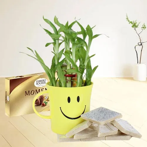 Irresistible Sweets and Chocolate with Bamboo Plant in a Smiley Container	