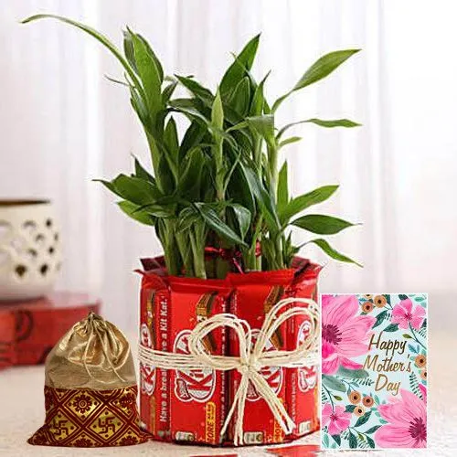 Trendy Bamboo Plant N Kitkat Bunch with Dry Fruit Potli N Mothers Day Card