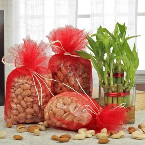 Lucky Bamboo N Sorted Nuts