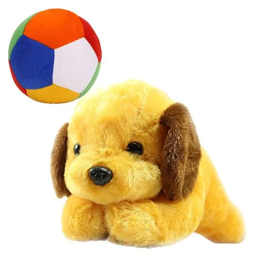 Adorable Dog n Ball Soft Toy Gift Set for Kids