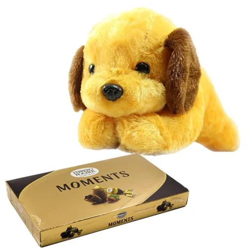 Yummy Ferrero Rocher Chocolates with Soft Dog Toy for Kid