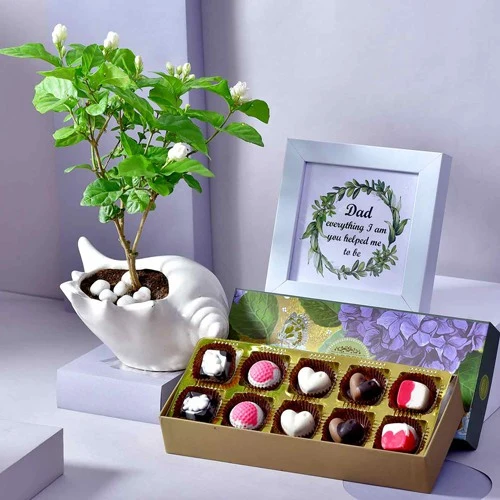 Aromatic Potted Mogra with Chocolates N Dad Frame Combo