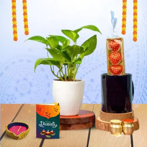 Joyful Diwali Gift Assortment