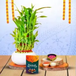 Bamboo Plant And Diya Duo