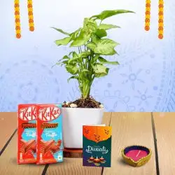 Diwali Hamper  Light And Treats