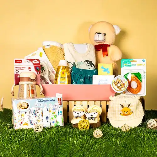Newborn Necessities N Teddy Combo