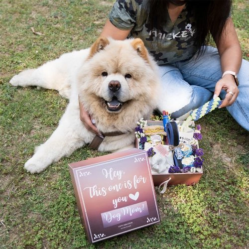 Unique Essentials for Dog Moms