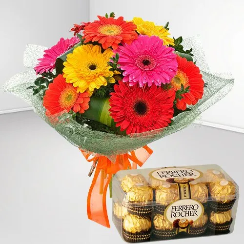 Gerbera Rocher Crush