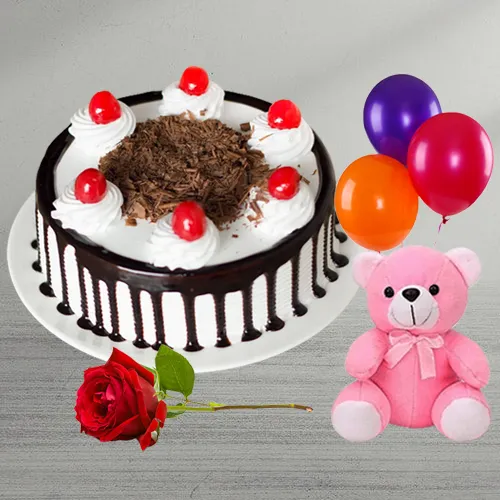 Charming Rose with Black Forest Cake Teddy and Balloons