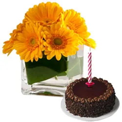 Delicious Chocolate Cake with Candles and Gerberas in Vase