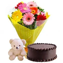 Selection of Chocolate Cake and Bunch of Gerberas with Soft Teddy