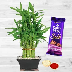 2 Tier Bamboo Plant N Silk Chocolates