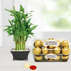 Ferrero Rocher Chocos N Bamboo Plant Combo