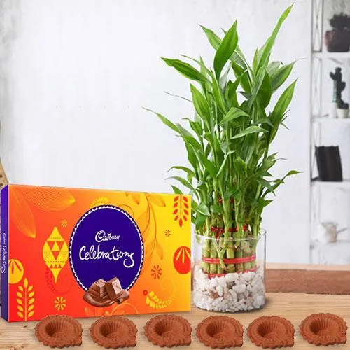 Cadbury Celebrations N Diya with 3 Tier Lucky Bamboo in Glass Pot