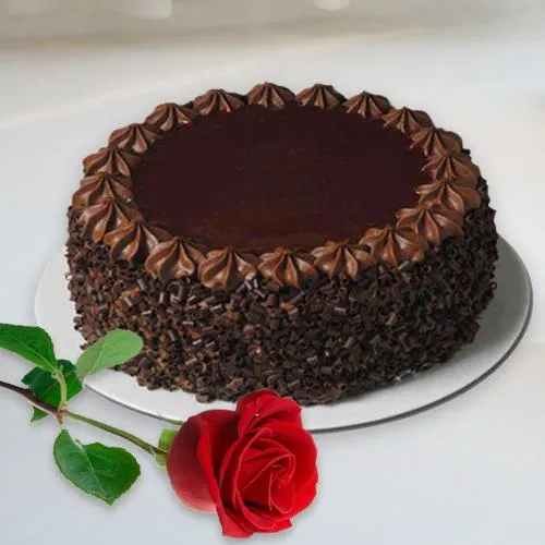 Delightful V day Combo of Chocolate Cake with Single Red Rose