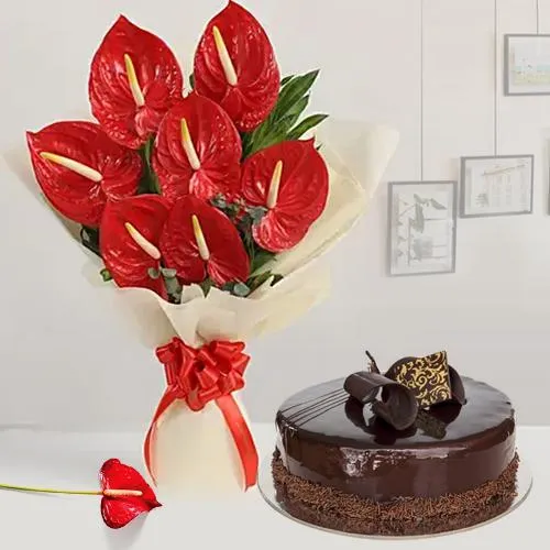 Gleaming Anthurium with Choco Cake