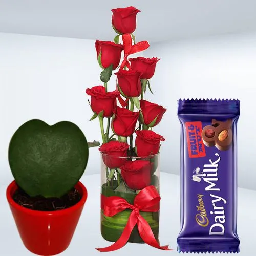 Beautiful Combo of Red Roses in Vase Hoya Heart Plant n Cadbury Fruit n Nut