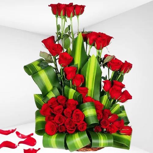 Radiant Red Roses Arrangement for Rose Day