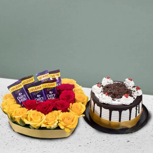 Splendid Mixed Roses n Cadbury with Black Forest Cake