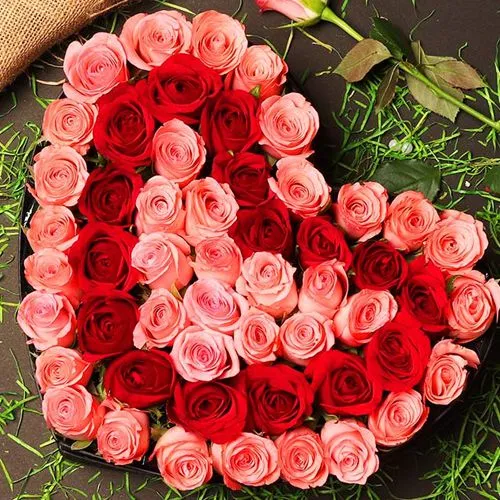 Lovely Heart Shape Arrangement of 50 Mixed Roses