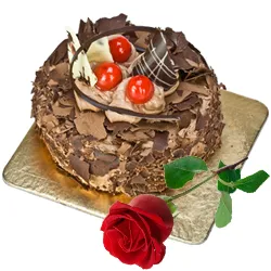 Delicious Chocolate Cake N Red Rose