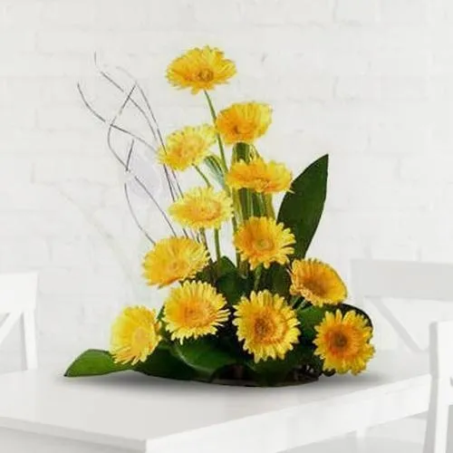 Yellow Gerberas Glare