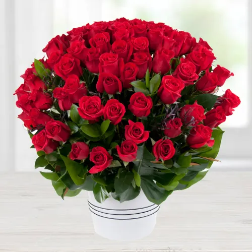 Fresh Arrangement of Dutch Roses