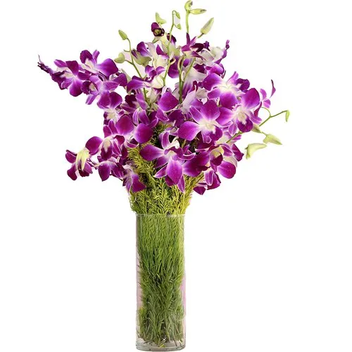 Delicate Orchids Arranged in a Glass Vase