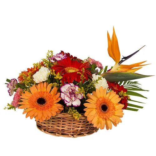 Special Basket Arrangement of Carnations and Gerberas