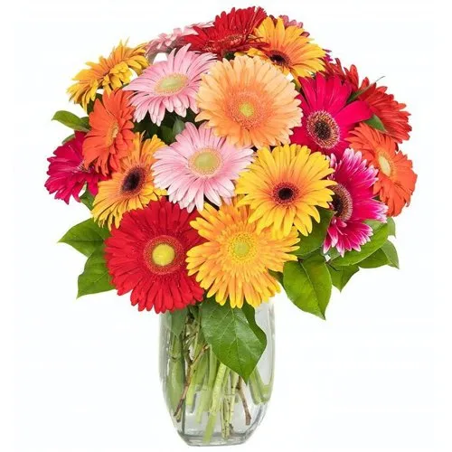 Vase with Gerbera Joy