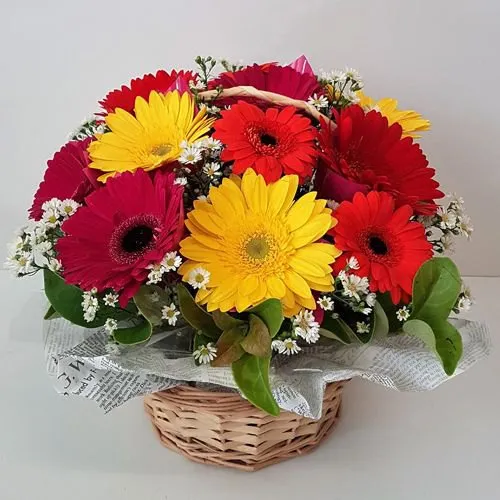 Beautiful Gift Basket of Mixed Gerberas