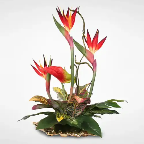 Lovely Arrangement of Birds of Paradise and Anthuriums