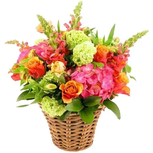 Online Basket Arrangement of Tender Flowers